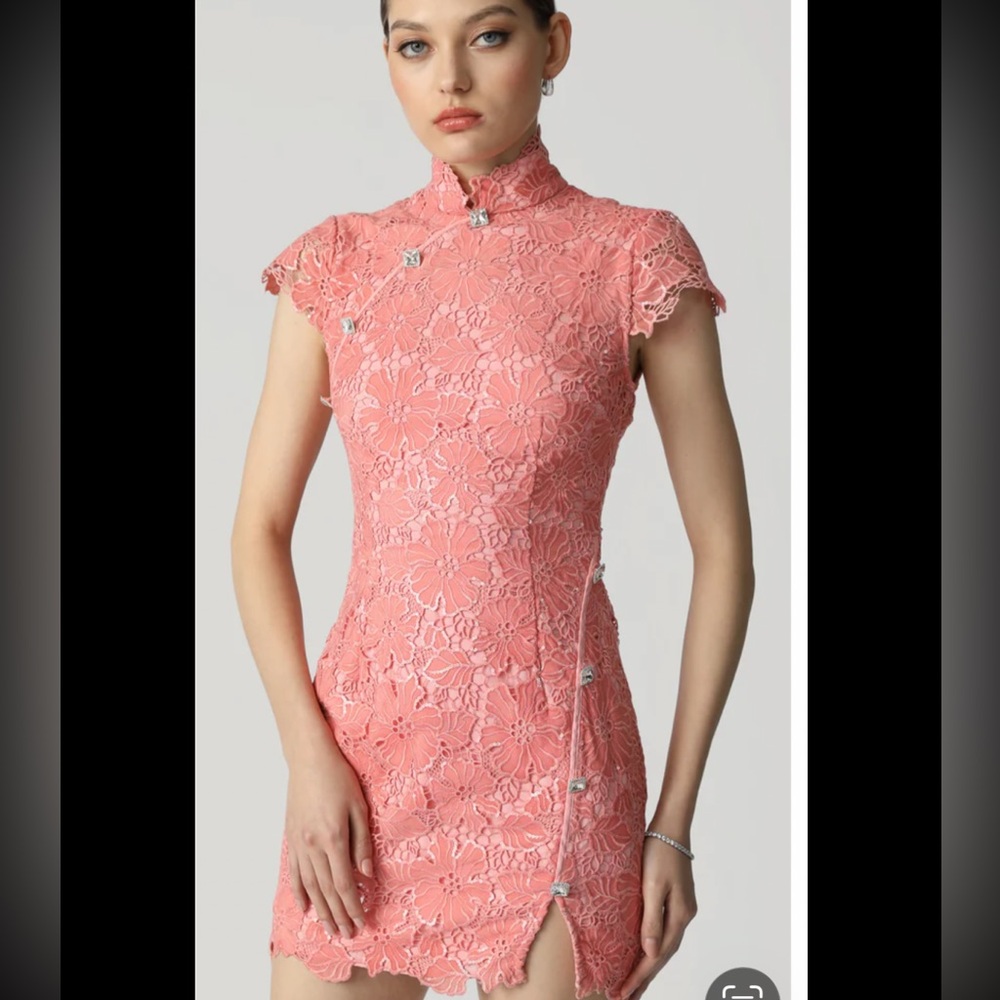 Sau lee coral Pink floral lace embroidery mini Dress XS 0